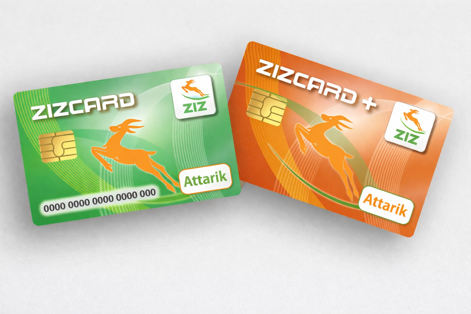 Cartes ZIZ